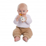 Η φωτογραφία δείχνει Κουδουνίστρα και μασητικό .