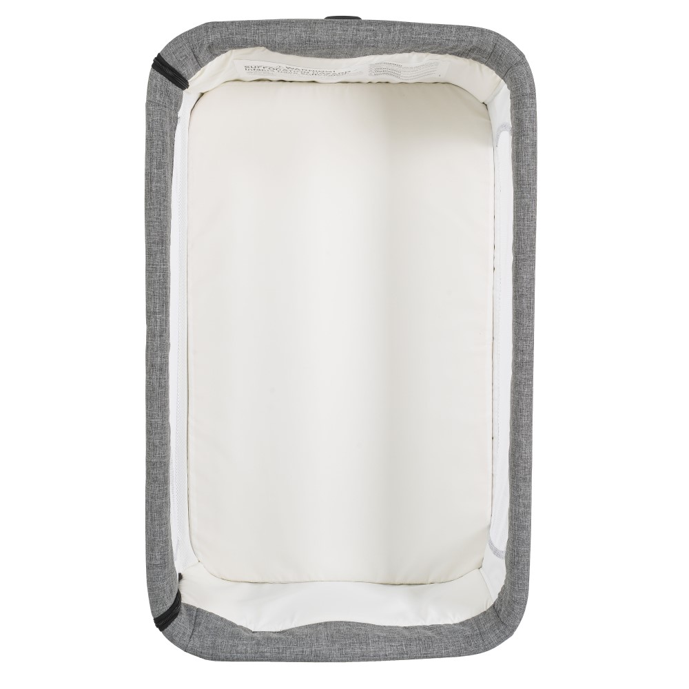 Η φωτογραφία δείχνει 