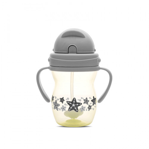 LORELLI ΚΥΠΕΛΛΟ ΜΕ ΚΑΛΑΜΑΚΙ ΚΑΙ ΛΑΒΕΣ 275ML YELLOW GREY 10230600006