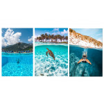 TELESIN Υποβρύχια θήκη Dome Port για GoPro Hero 8 (GP-DMP-T08)