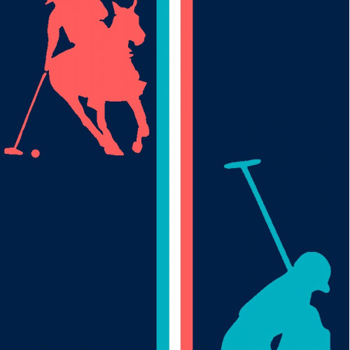 DIMcol ΠΕΤΣΕΤΑ ΘΑΛΑΣΣΗΣ ΒΕΛΟΥΤΕ ΕΝΗΛ Cotton 100% 90X170 Ζακάρ Αιγυπτιακή 420 gr 02 1433716415000200