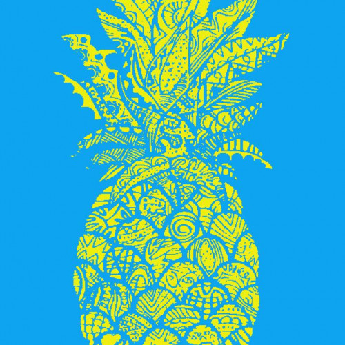 DIMcol ΠΕΤΣΕΤΑ ΘΑΛΑΣΣΗΣ ΒΕΛΟΥΤΕ ΕΝΗΛ Cotton 100% 90X170 Ζακάρ Αιγυπτιακή 420 gr 04