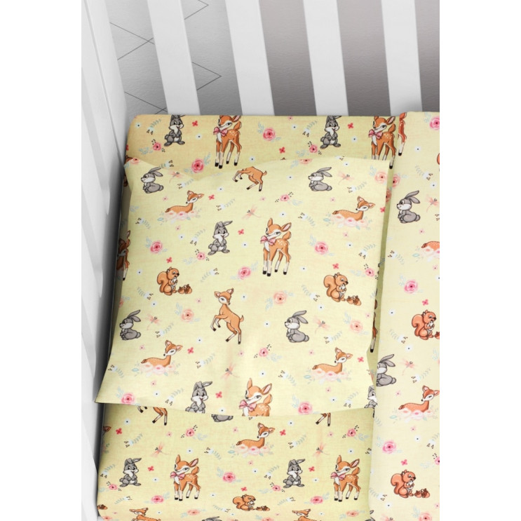 ΜΑΞΙΛΑΡΟΘΗΚΕΣ