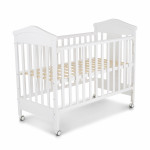 Η φωτογραφία δείχνει ΒΡΕΦΙΚΗ ΚΟΥΝΙΑ ΤΗΣ ΕΤΑΙΡΕΙΑΣ CANGAROO.