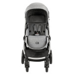 Πολυκαρότσια