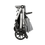 Πολυκαρότσια