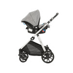 Πολυκαρότσια