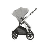 Πολυκαρότσια