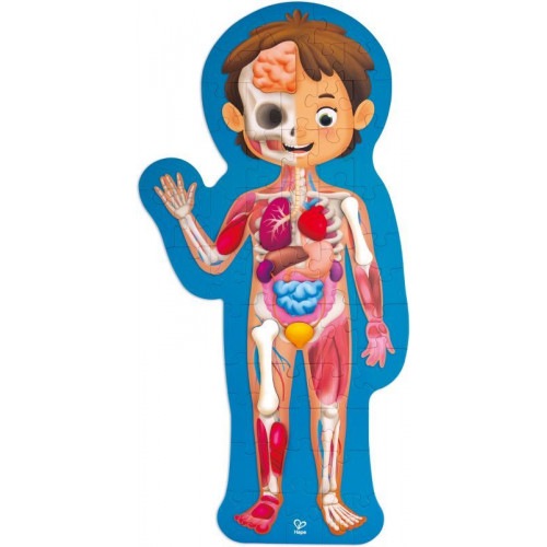 Hape Human Body Puzzle - Παζλ Μαθαίνω Το Ανθρώπινο Σώμα E1635A