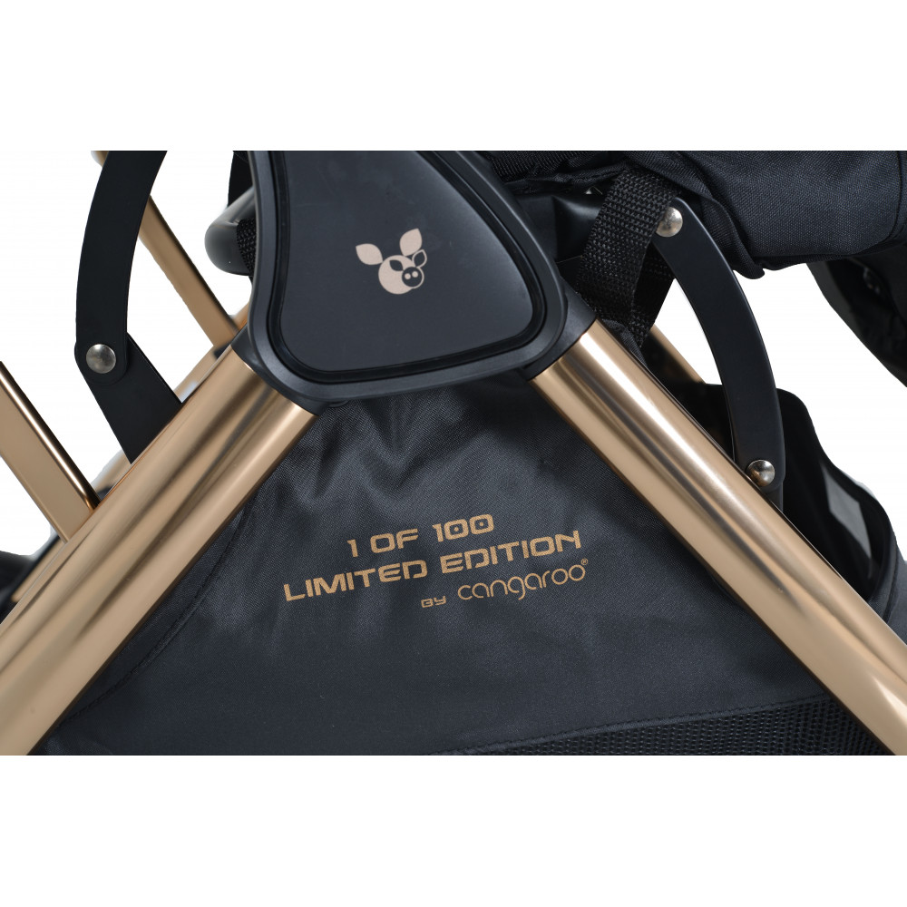 Η φωτογραφία δείχνει Το καρότσι Easy Fold είναι εξαιρετικά συμπαγές, ελαφρύ και μοντέρνο με καινοτόμο και εξαιρετικό σύστημα αναδίπλωσης για να απλοποιήσει πραγματικά τη ζωή σας.