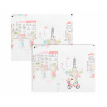 ΜΑΞΙΛΑΡΟΘΗΚΕΣ