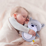 Τα νανουρίσματα προσφέρουν στο μωρό σας άνεση και μια αίσθηση ασφάλειας.