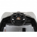 Η φωτογραφία δείχνει Ηλεκτροκίνητο αυτοκίνητο της εταιρείας Cangaroo.