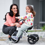 Η φωτογραφία δείχνει ΤΡΙΚΥΚΛΟ ΠΟΔΗΛΑΤΑΚΙ ΤΗΣ ΕΤΑΙΡΕΙΑΣ LORELLI.