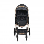 Πολυκαρότσια