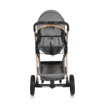 Πολυκαρότσια