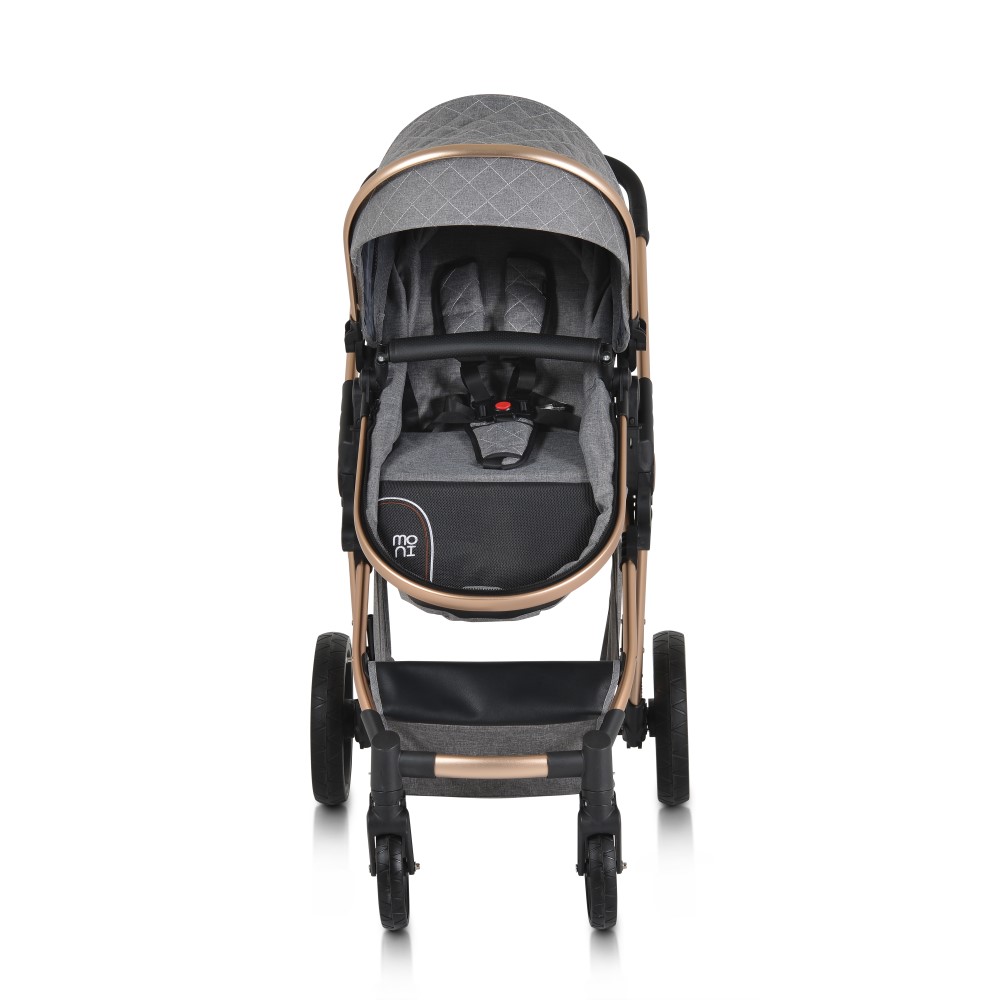 Πολυκαρότσια