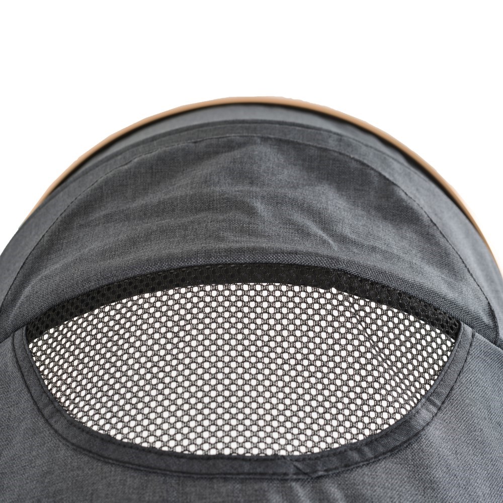 Πολυκαρότσια