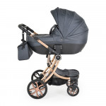 Πολυκαρότσια