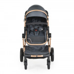 Πολυκαρότσια