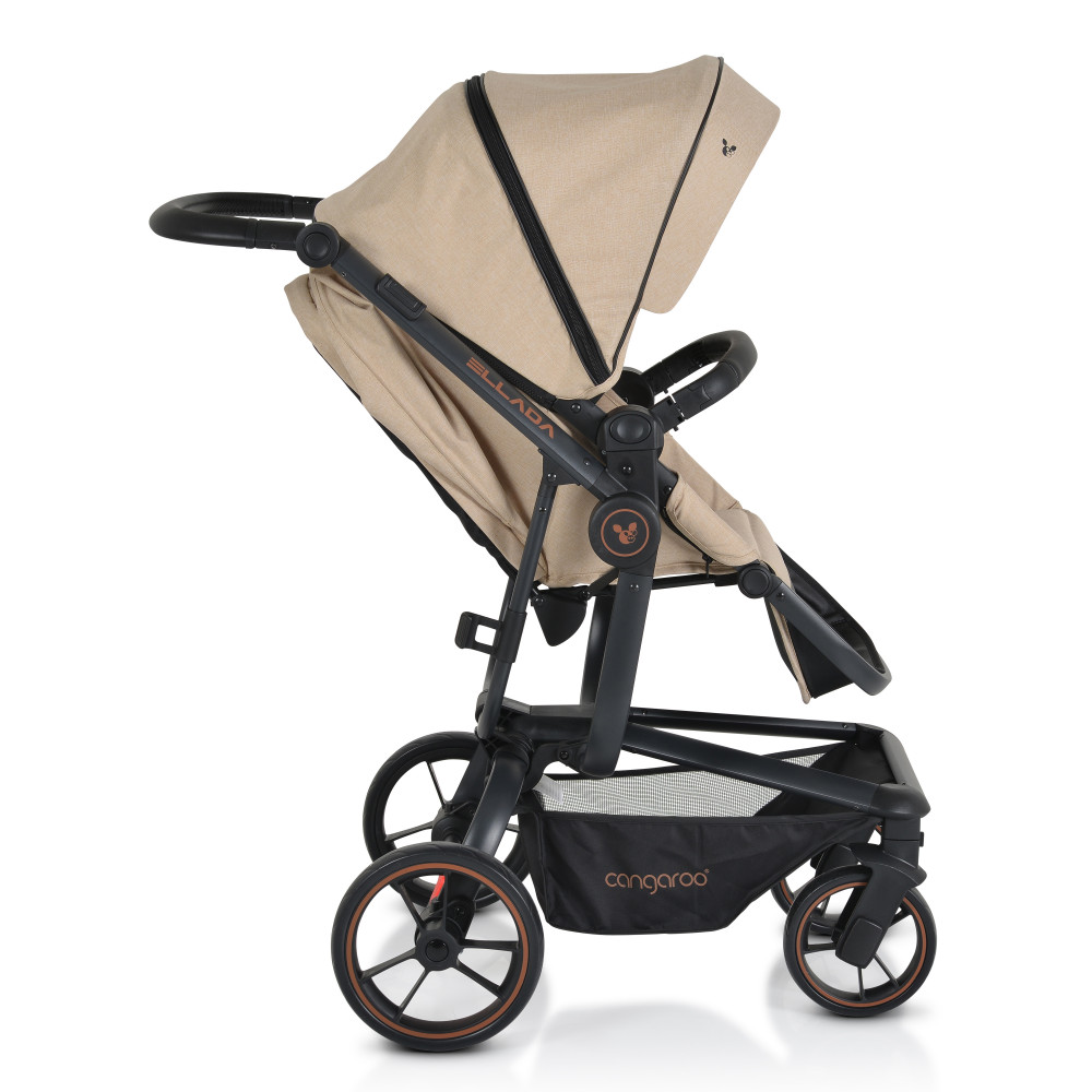 Πολυκαρότσια