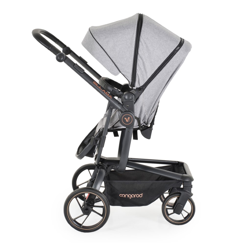 Πολυκαρότσια