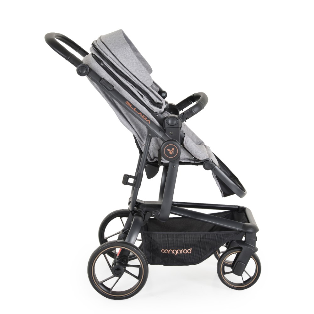 Πολυκαρότσια