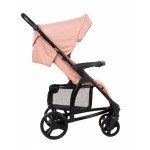 Πολυκαρότσια