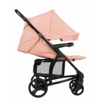 Πολυκαρότσια