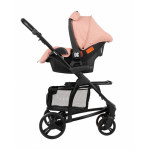 Πολυκαρότσια