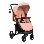 Πολυκαρότσια