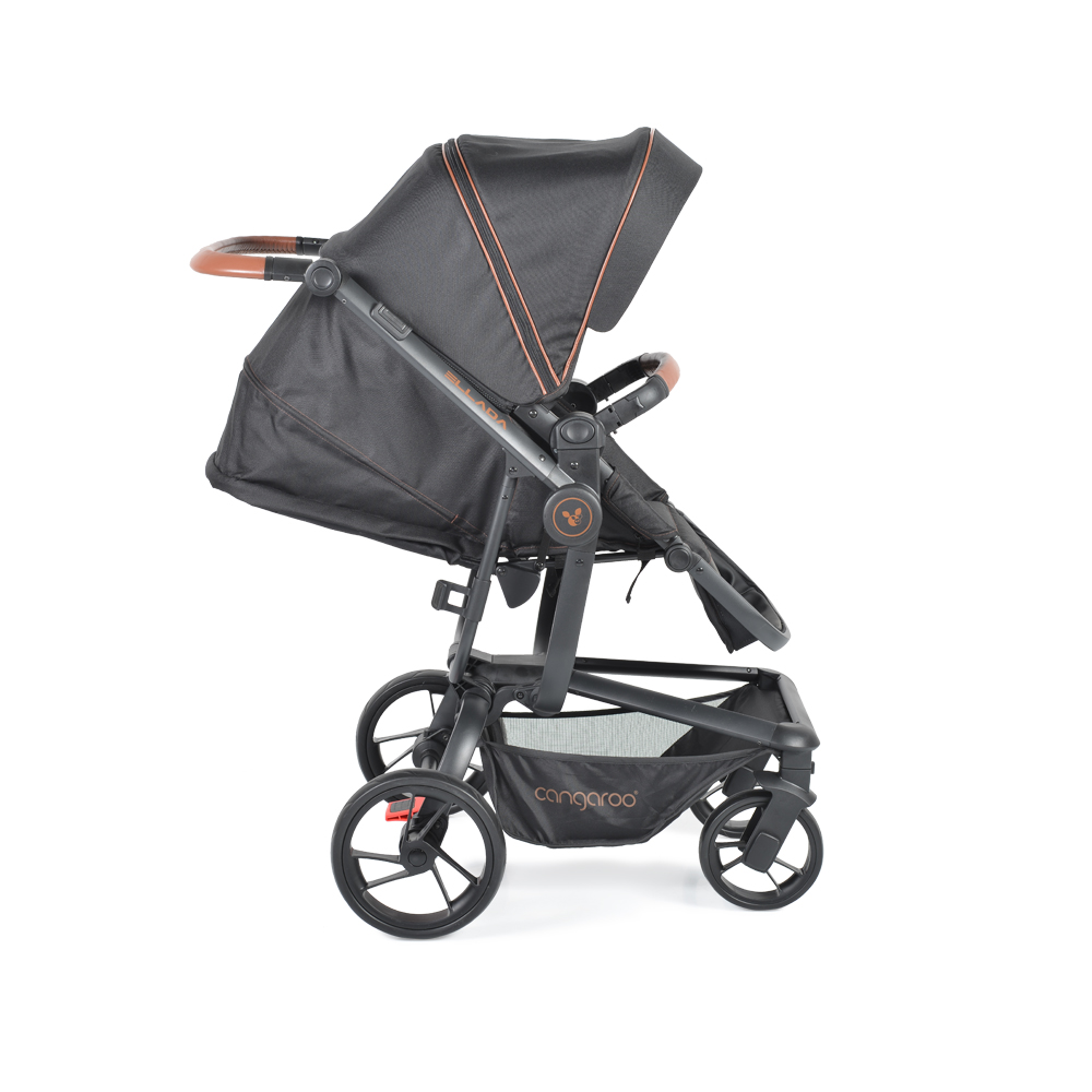 Πολυκαρότσια