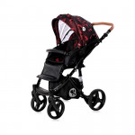 Πολυκαρότσια