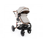 Πολυκαρότσια