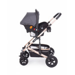 Πολυκαρότσια