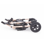 Πολυκαρότσια