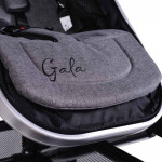 Πολυκαρότσια