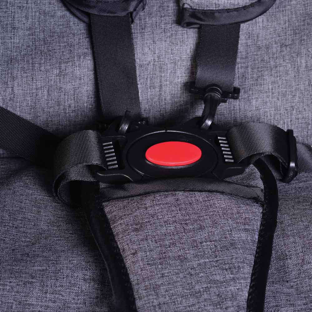 Πολυκαρότσια