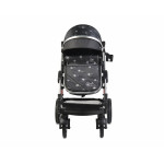 Πολυκαρότσια