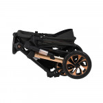 Πολυκαρότσια