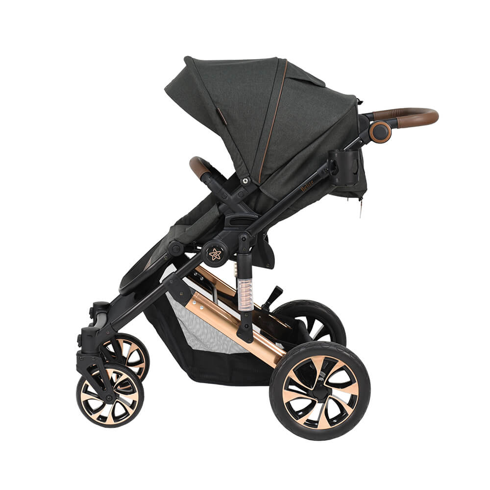 Πολυκαρότσια