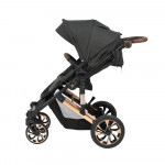 Πολυκαρότσια