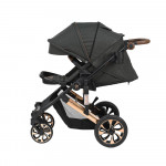 Πολυκαρότσια