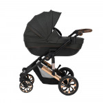 Πολυκαρότσια