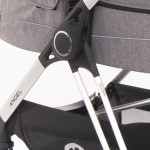 Πολυκαρότσια