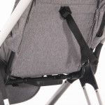 Πολυκαρότσια