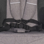 Πολυκαρότσια