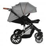 Πολυκαρότσια