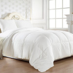 ΠΑΠΛΩΜΑ ΜΟΝΟ/ΗΜΙΔΙΠΛΟ